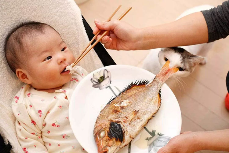 Cho trẻ ăn hải sản khi nào là hợp lý nhất để đảm bảo dinh dưỡng