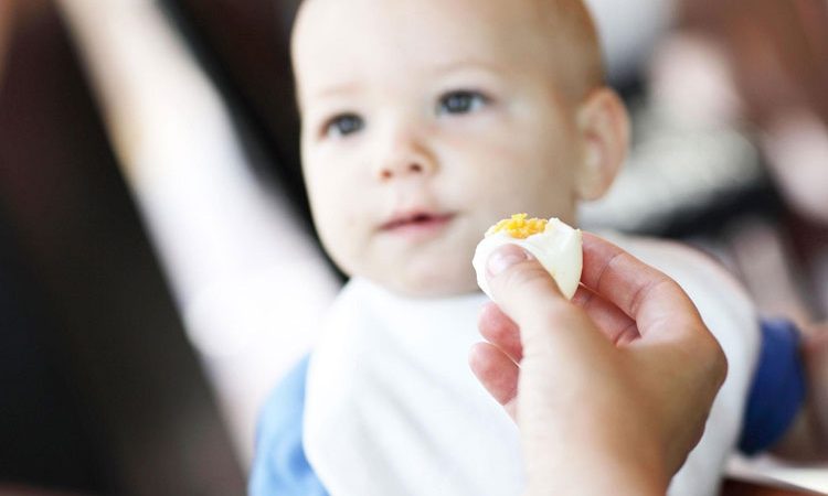 Cho trẻ ăn trứng như thế nào để đảm bảo dinh dưỡng?