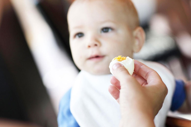 Cho trẻ ăn trứng như thế nào để đảm bảo dinh dưỡng?